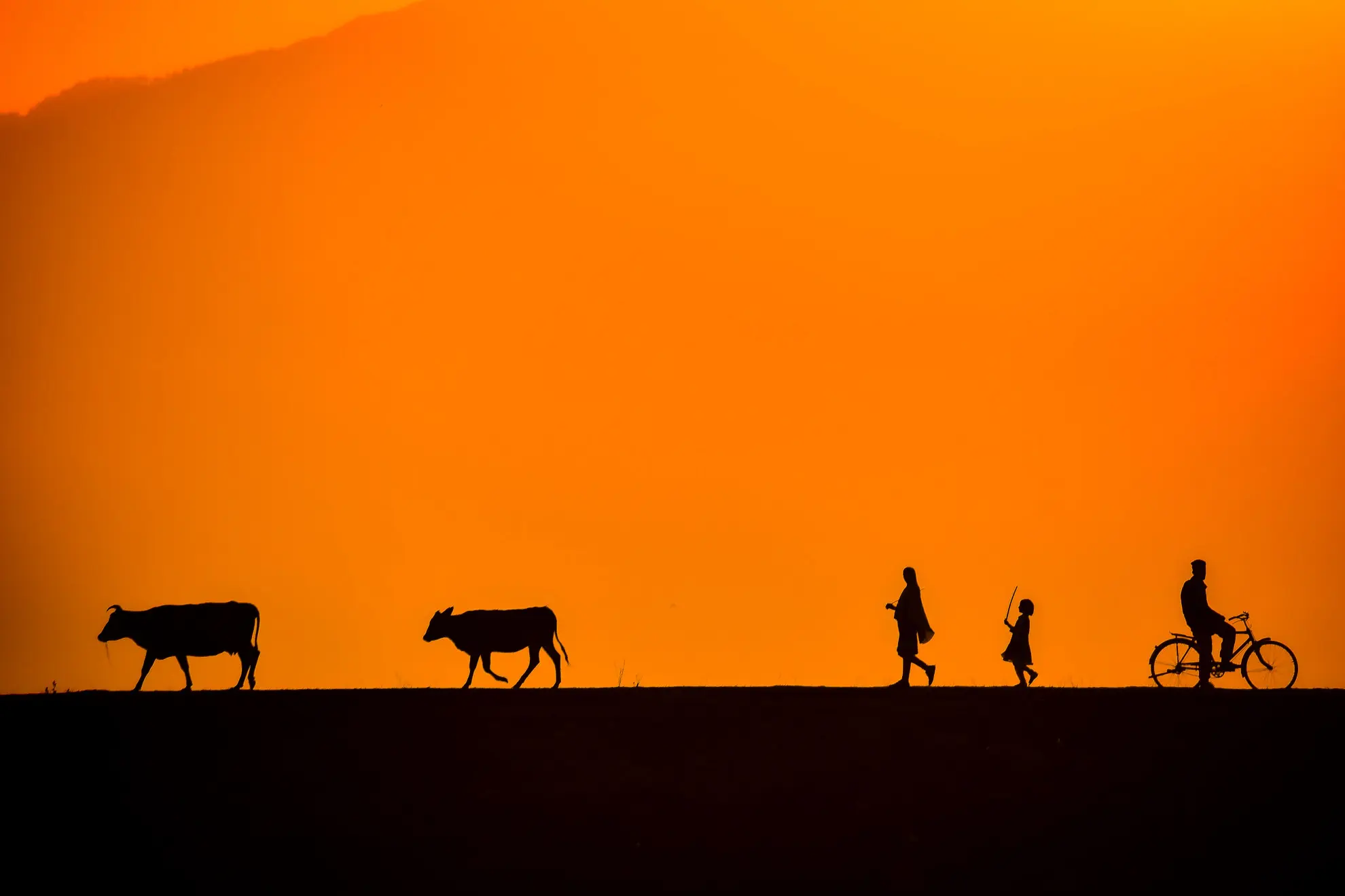 Надбягване в Източни Родопи 2023