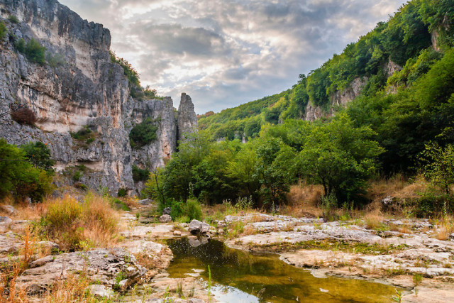 Emenski Canyon Run 2026
